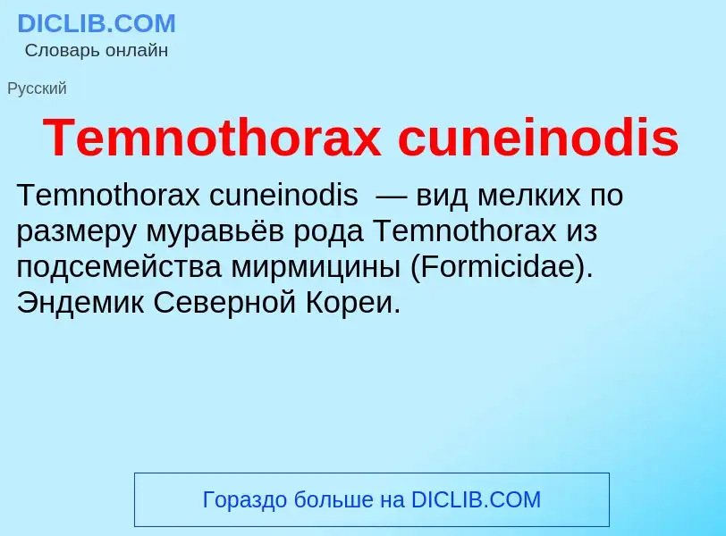 What is Temnothorax cuneinodis - meaning and definition