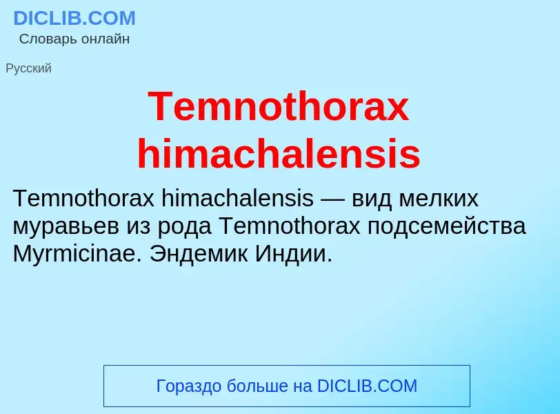 Τι είναι Temnothorax himachalensis - ορισμός