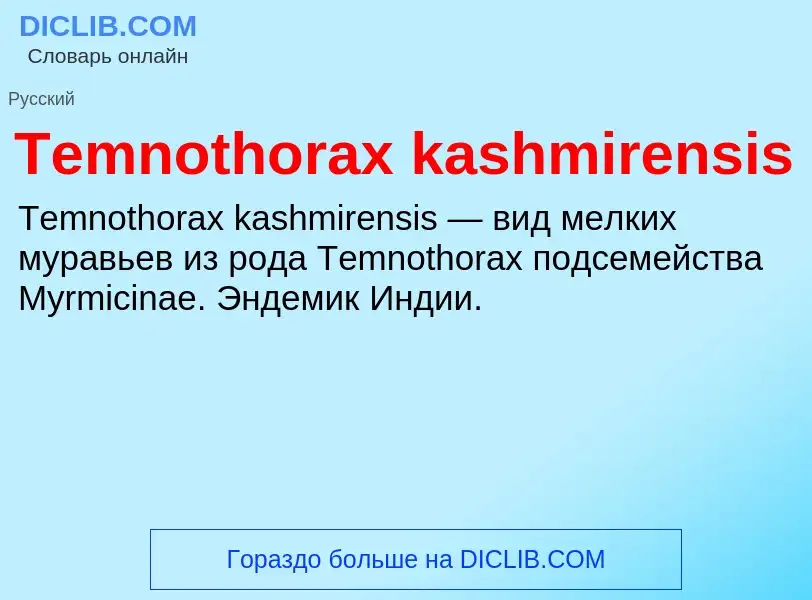 What is Temnothorax kashmirensis - meaning and definition