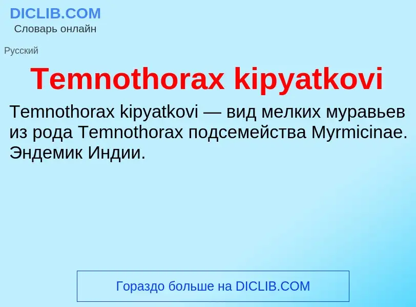 What is Temnothorax kipyatkovi - meaning and definition