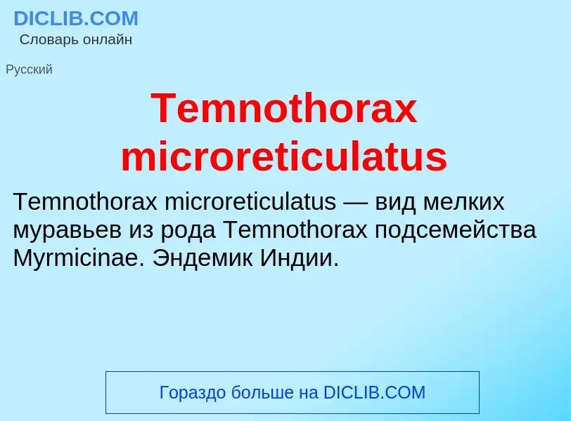 Τι είναι Temnothorax microreticulatus - ορισμός