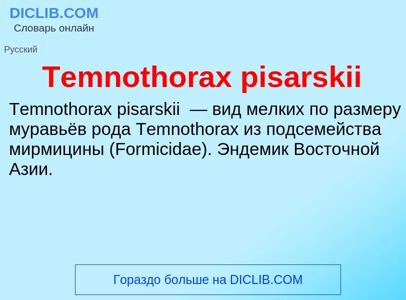 What is Temnothorax pisarskii - meaning and definition