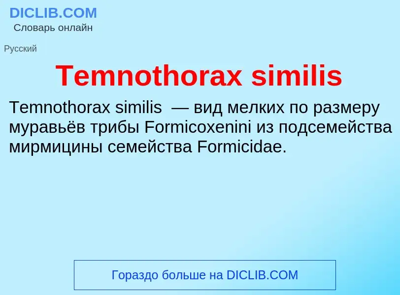 Τι είναι Temnothorax similis - ορισμός