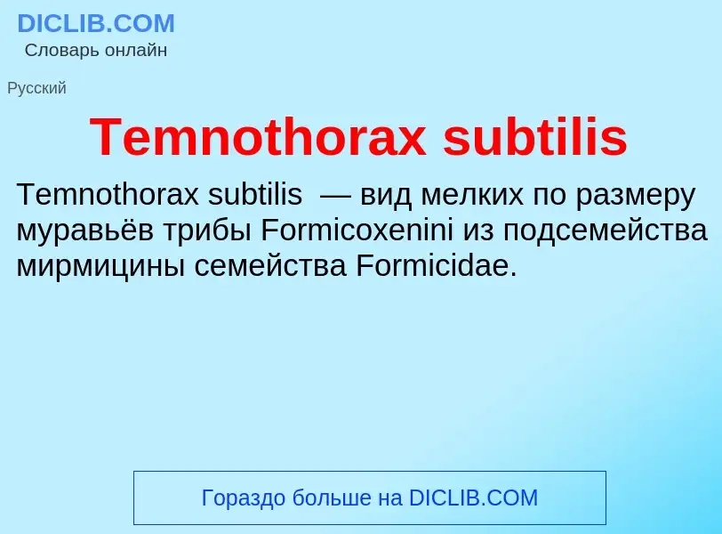 Τι είναι Temnothorax subtilis - ορισμός