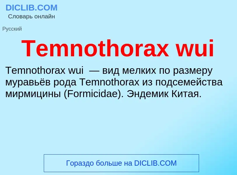 What is Temnothorax wui - meaning and definition