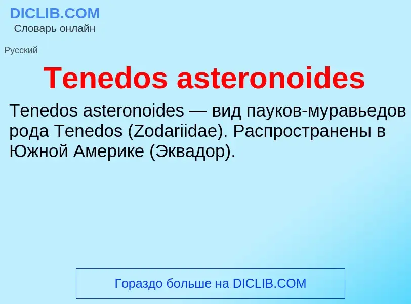 What is Tenedos asteronoides - meaning and definition