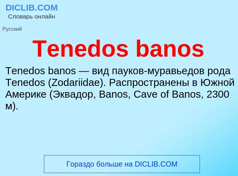 Τι είναι Tenedos banos - ορισμός