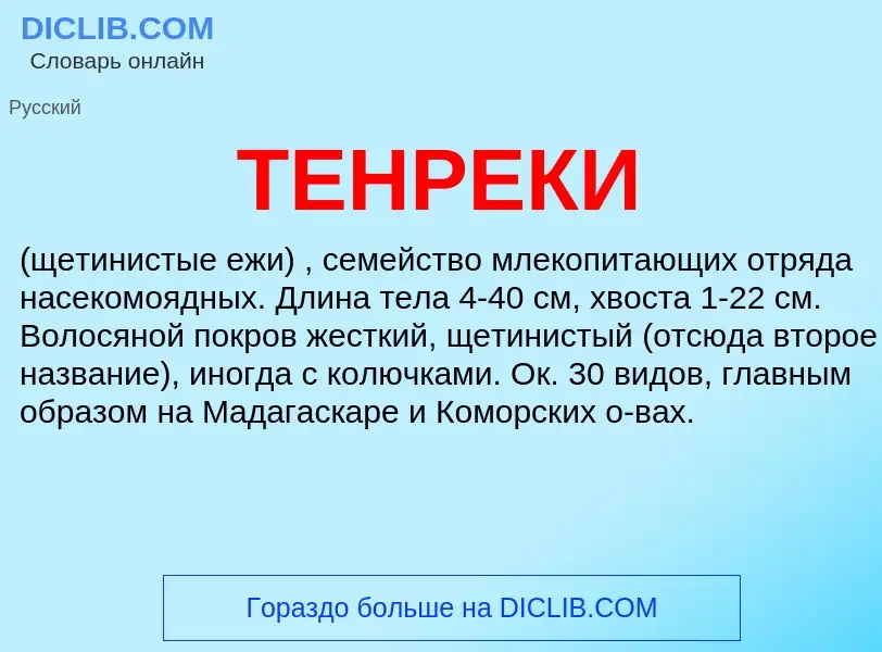 Что такое ТЕНРЕКИ - определение