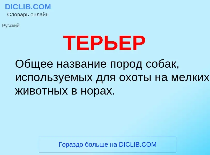 Что такое ТЕРЬЕР - определение