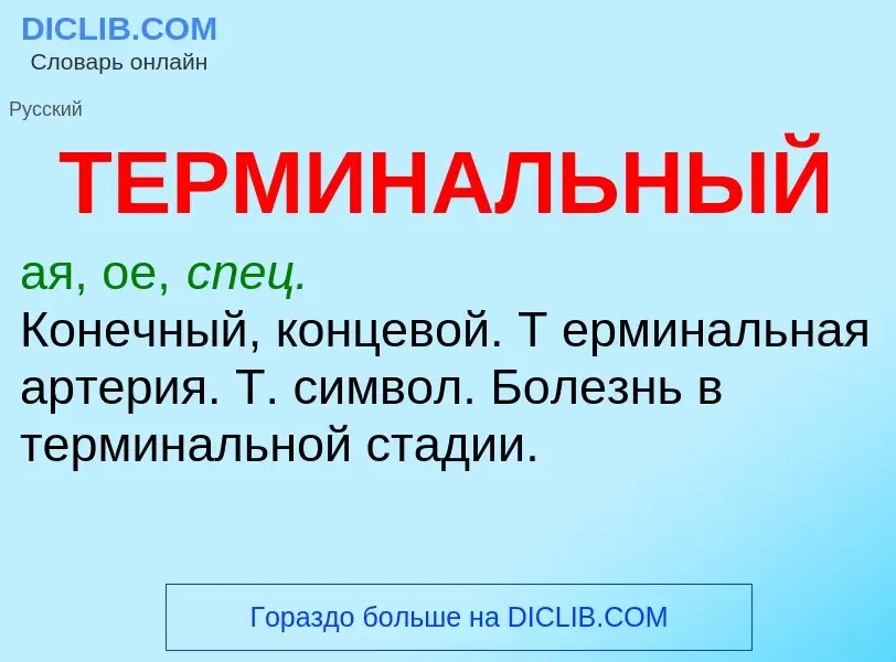 ¿Qué es ТЕРМИНАЛЬНЫЙ? - significado y definición