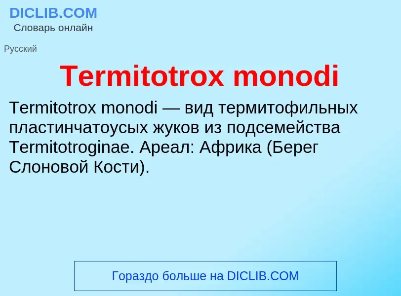 Τι είναι Termitotrox monodi - ορισμός