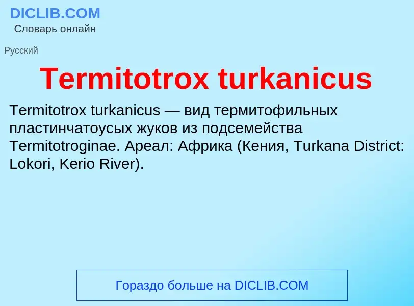 Τι είναι Termitotrox turkanicus - ορισμός