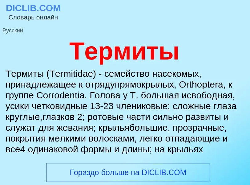 Что такое Термиты - определение