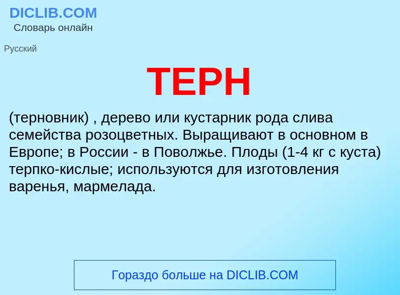 Что такое ТЕРН - определение