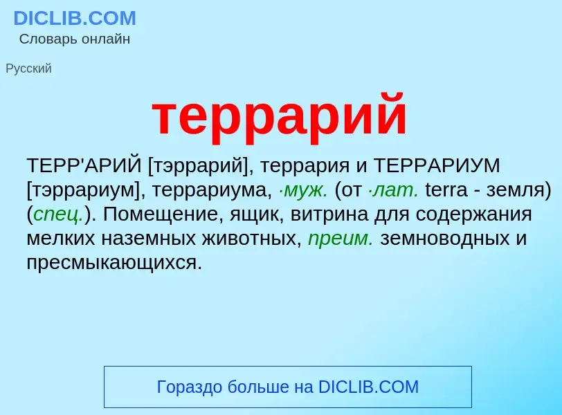 Что такое террарий - определение