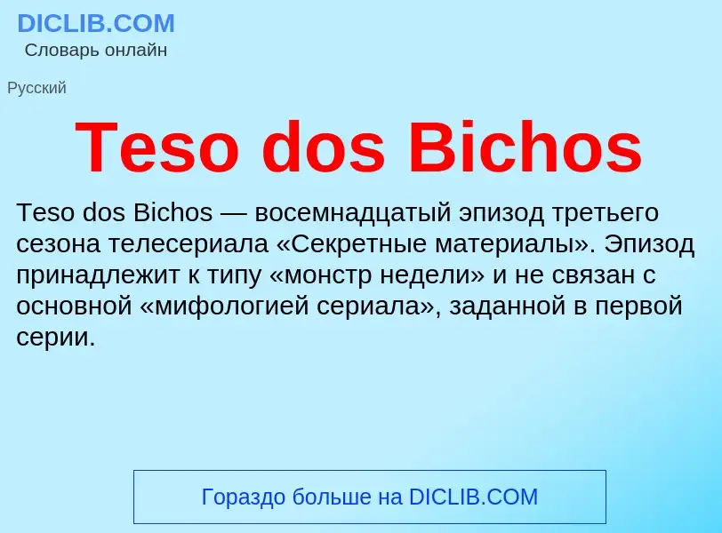 What is Teso dos Bichos - meaning and definition