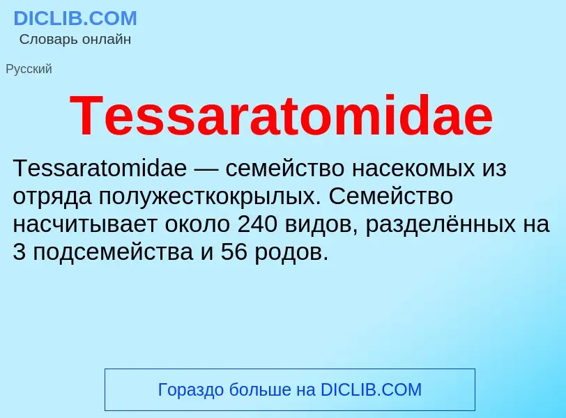 What is Tessaratomidae - meaning and definition