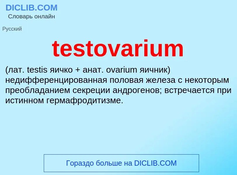 What is testovarium  - meaning and definition