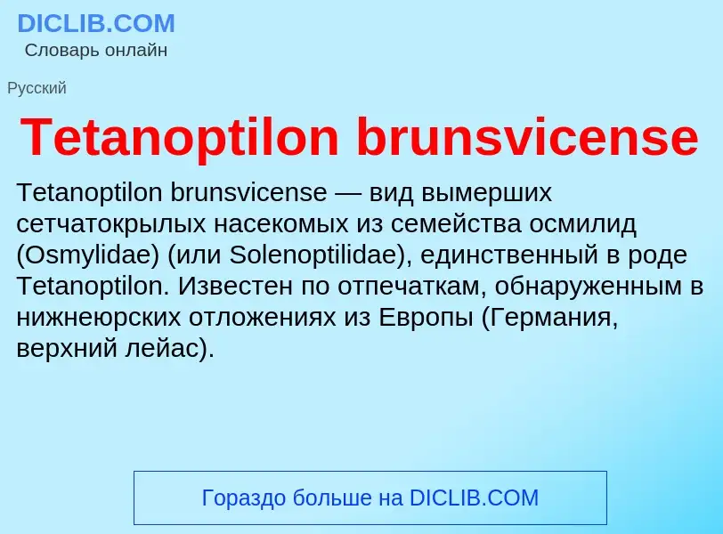 What is Tetanoptilon brunsvicense - meaning and definition