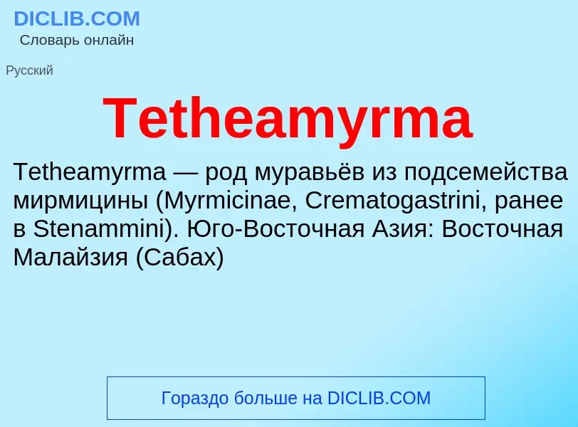 What is Tetheamyrma - meaning and definition