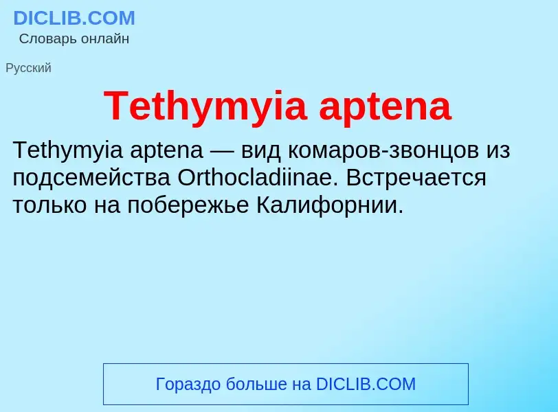 What is Tethymyia aptena - meaning and definition