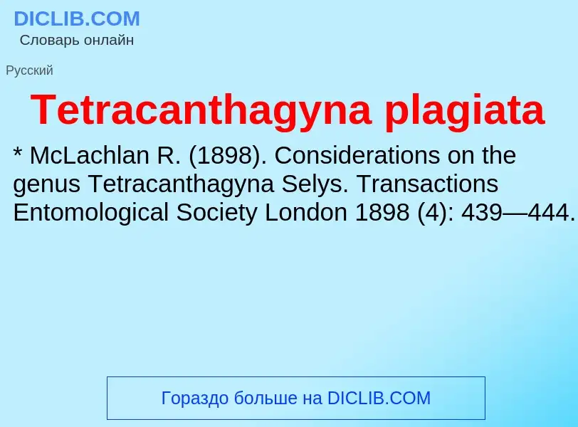 What is Tetracanthagyna plagiata - meaning and definition