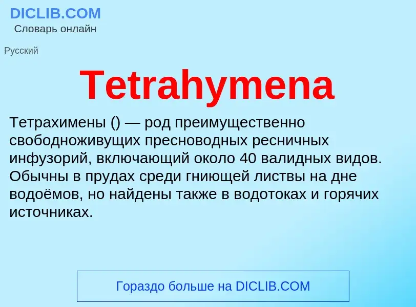 What is Tetrahymena - meaning and definition