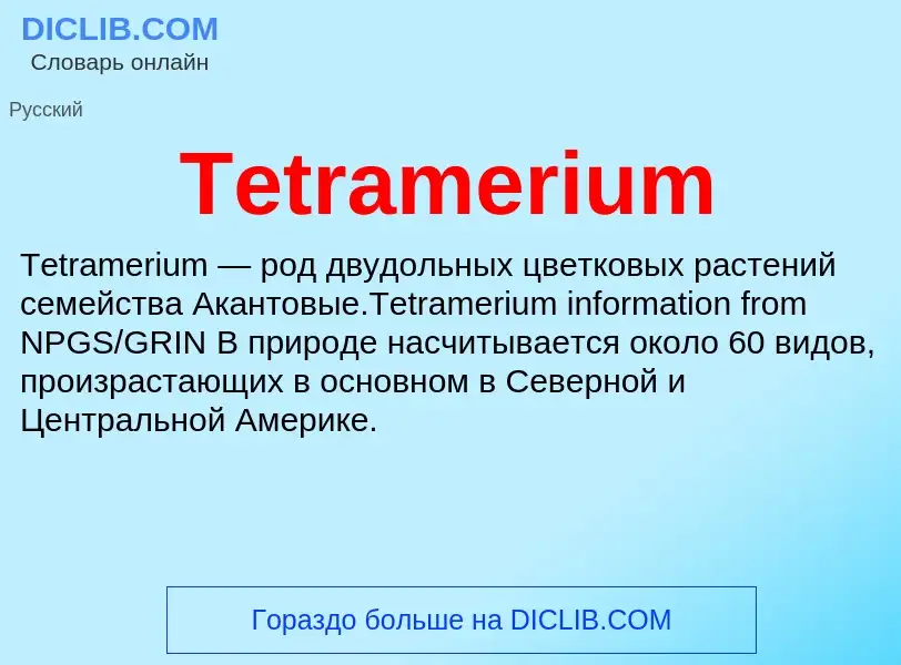 What is Tetramerium - meaning and definition