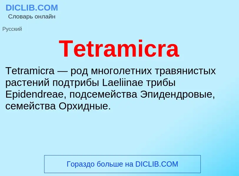 What is Tetramicra - meaning and definition