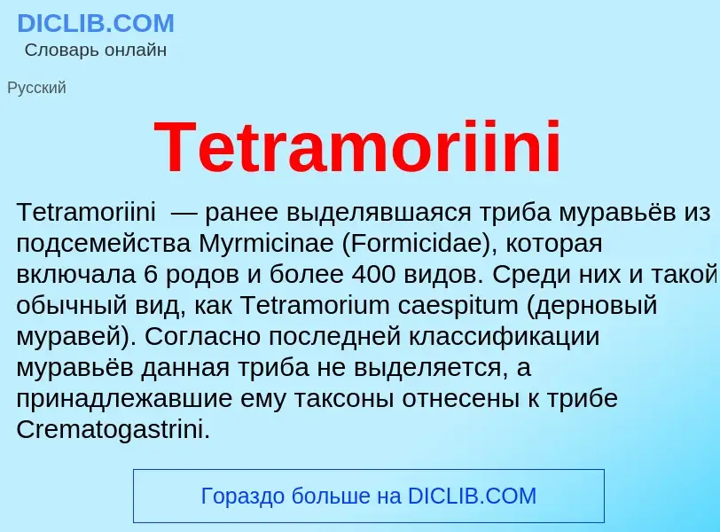 What is Tetramoriini - meaning and definition