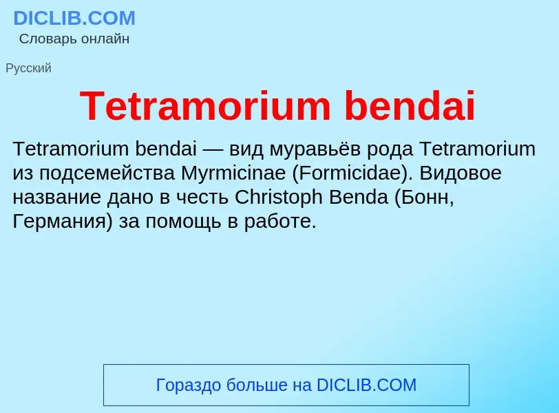 What is Tetramorium bendai - meaning and definition