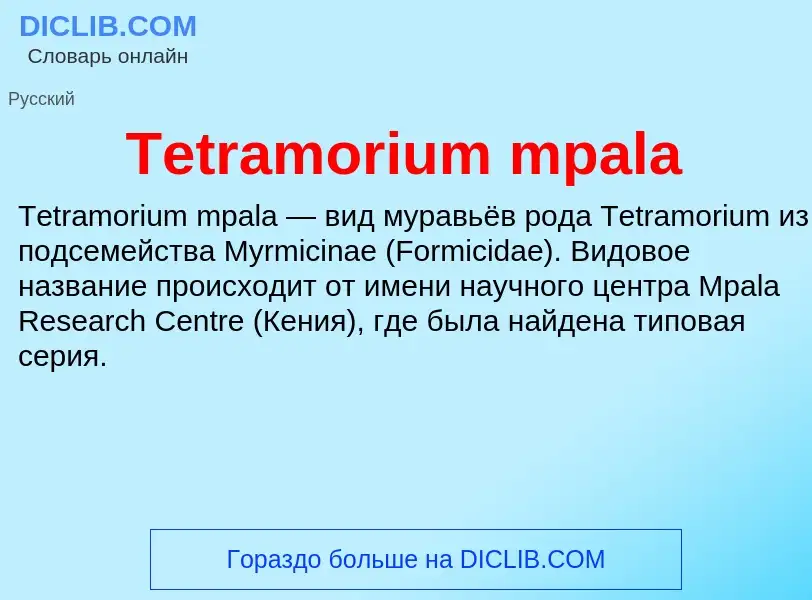 What is Tetramorium mpala - meaning and definition