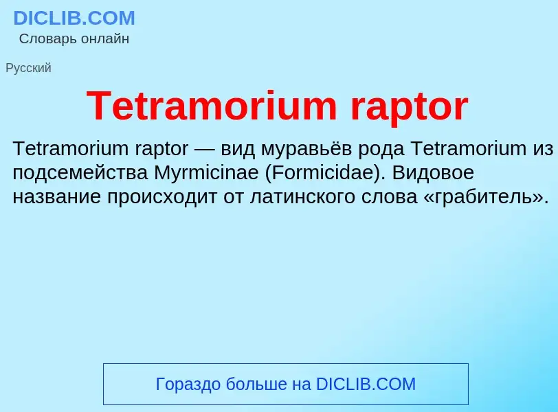 What is Tetramorium raptor - meaning and definition