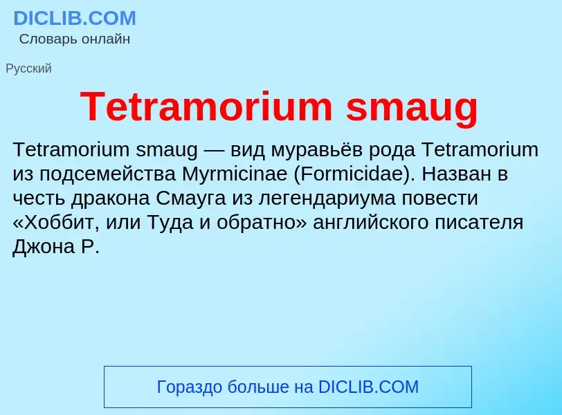 What is Tetramorium smaug - meaning and definition