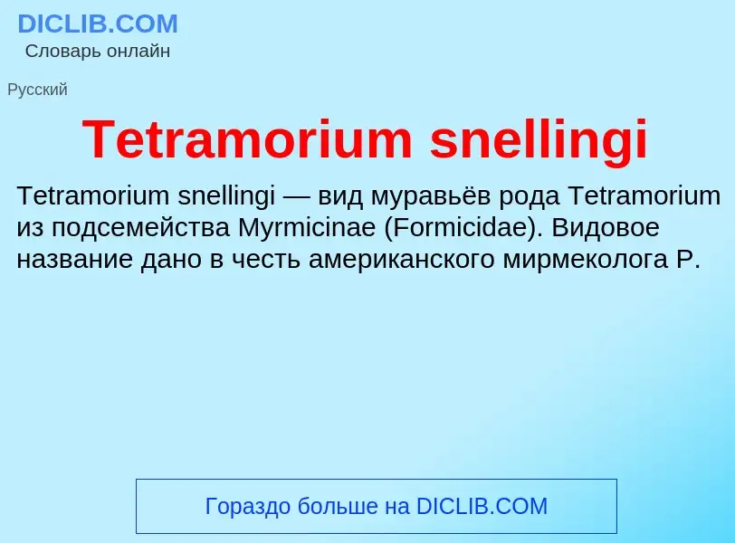 What is Tetramorium snellingi - meaning and definition