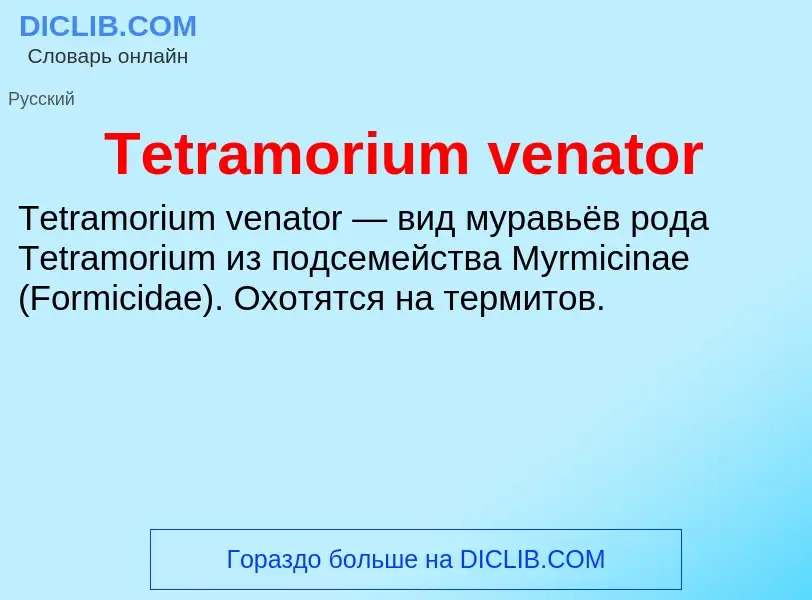 What is Tetramorium venator - meaning and definition