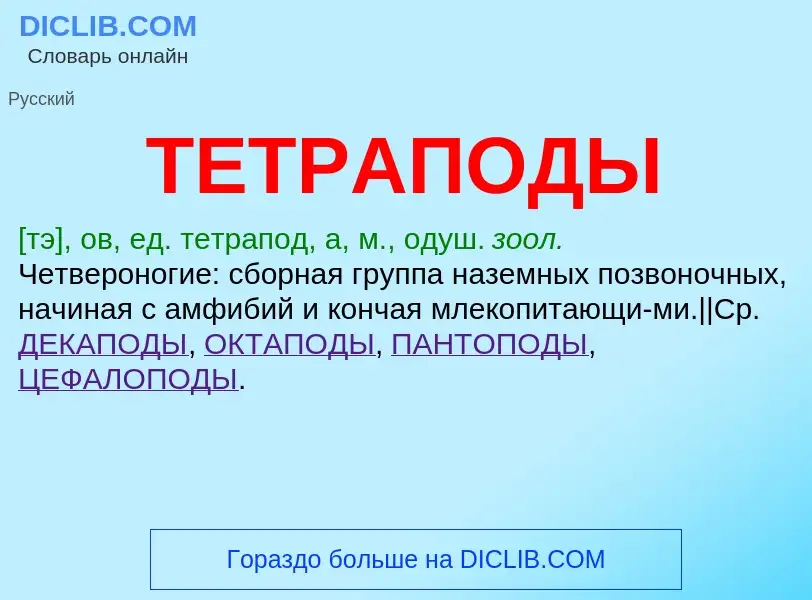 Что такое ТЕТРАПОДЫ - определение