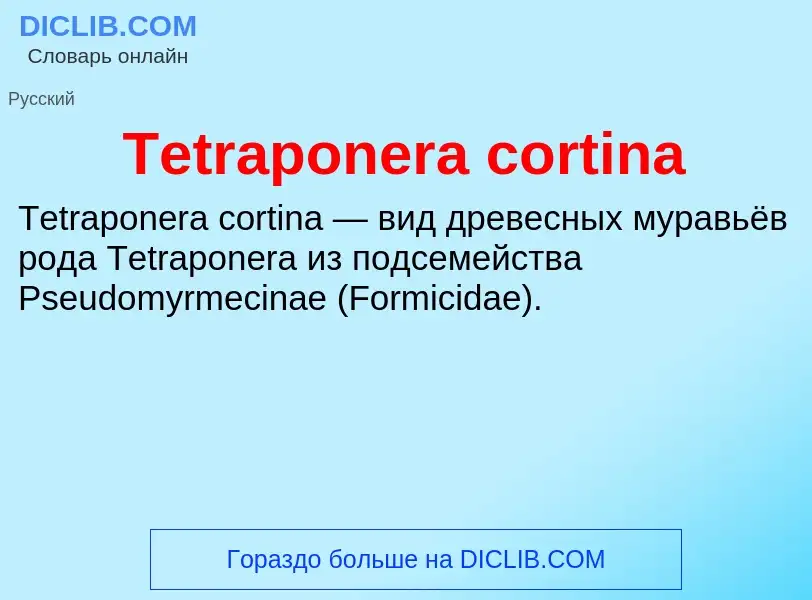 What is Tetraponera cortina - meaning and definition