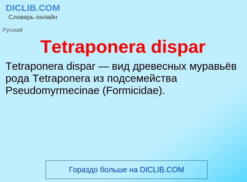 What is Tetraponera dispar - meaning and definition