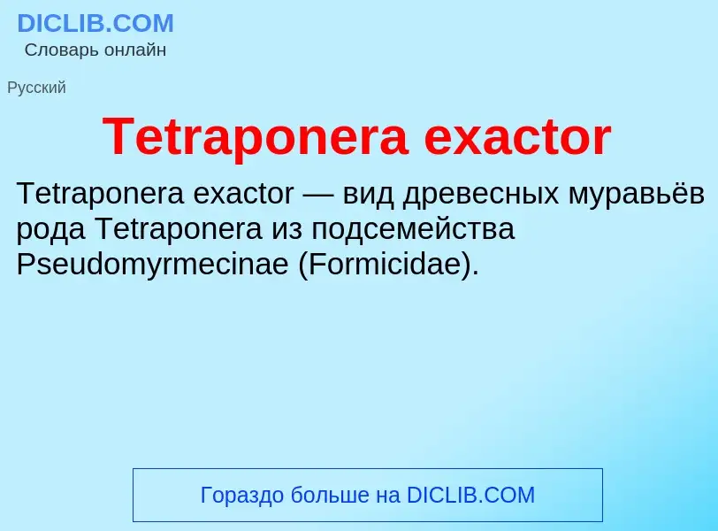 What is Tetraponera exactor - meaning and definition