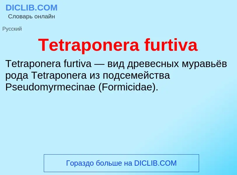 What is Tetraponera furtiva - meaning and definition