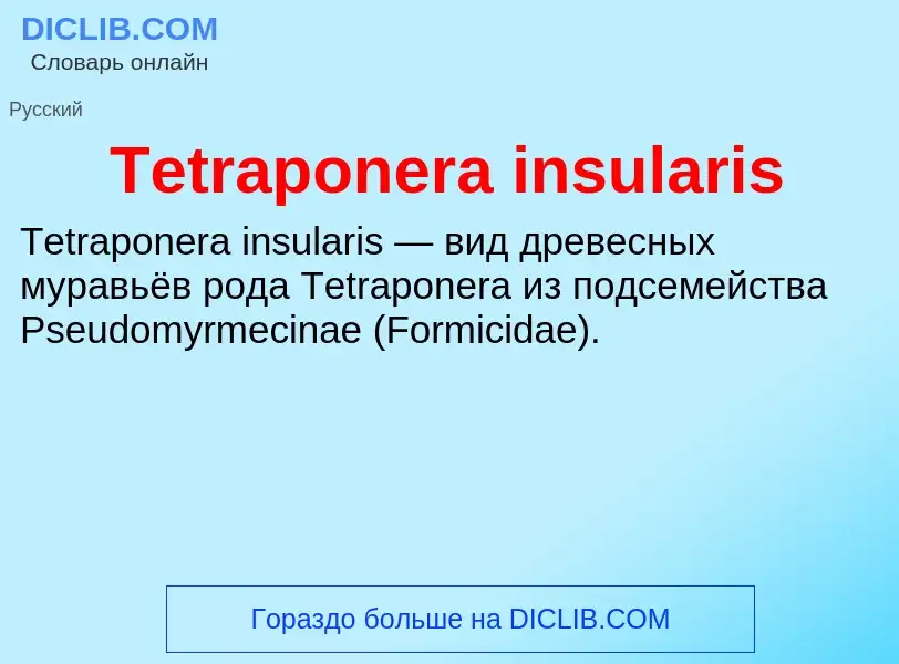 What is Tetraponera insularis - meaning and definition