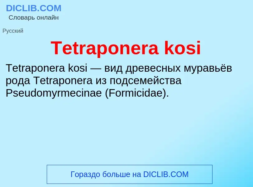 What is Tetraponera kosi - meaning and definition