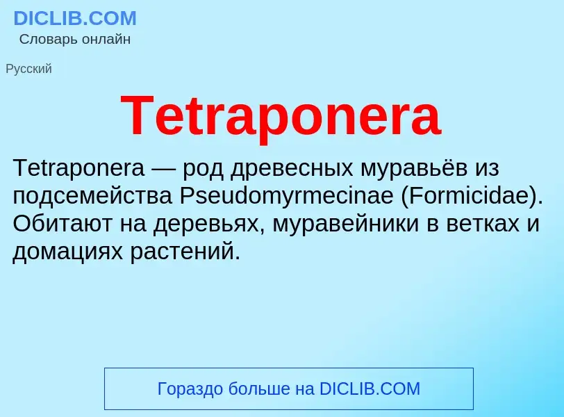 What is Tetraponera - meaning and definition