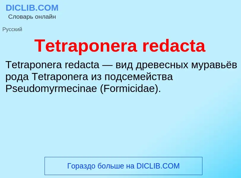 What is Tetraponera redacta - meaning and definition