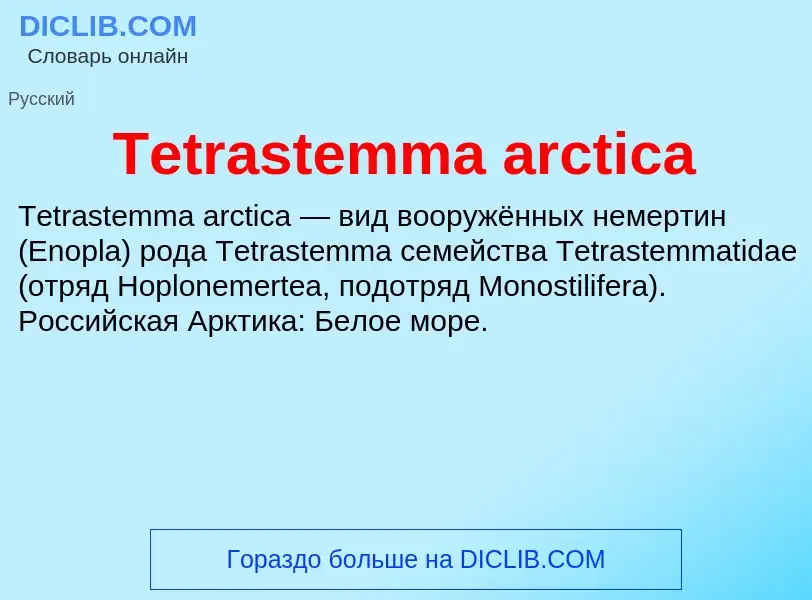 What is Tetrastemma arctica - meaning and definition