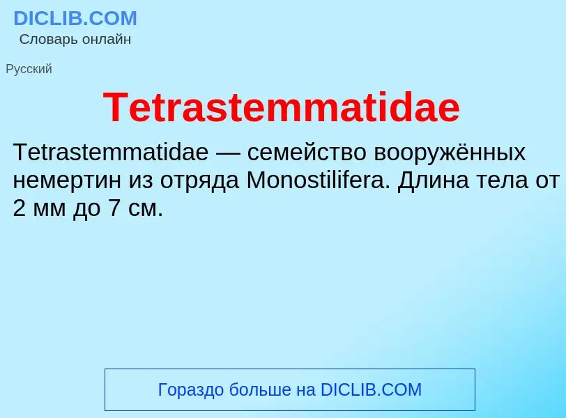 What is Tetrastemmatidae - meaning and definition