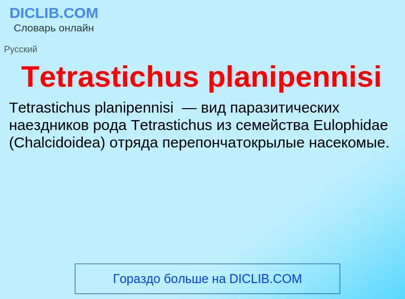 What is Tetrastichus planipennisi - meaning and definition