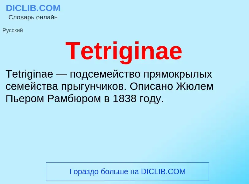 What is Tetriginae - meaning and definition