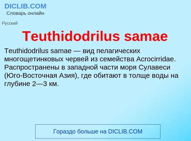 What is Teuthidodrilus samae - meaning and definition